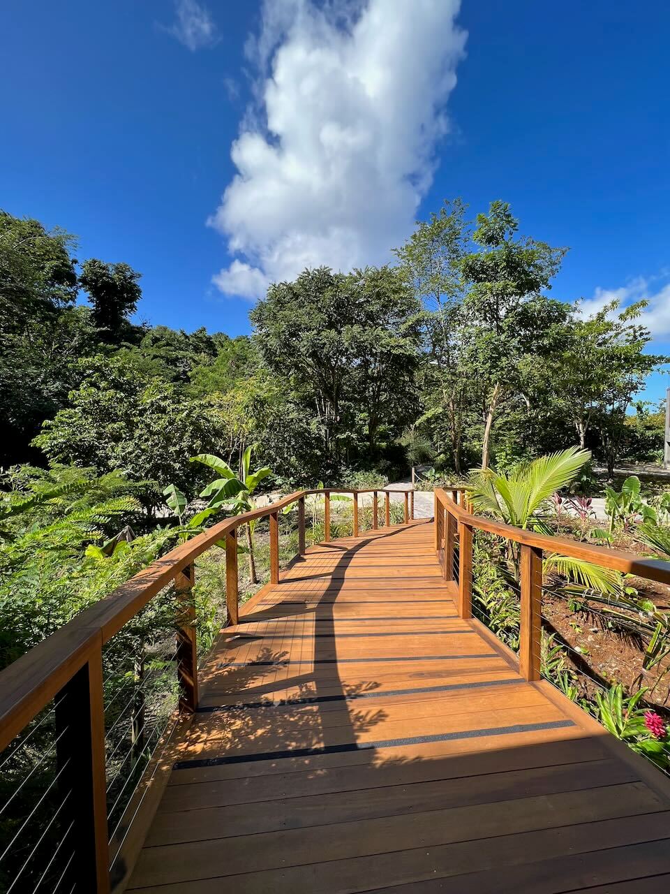 boardwalk at secret bay hotel in dominica