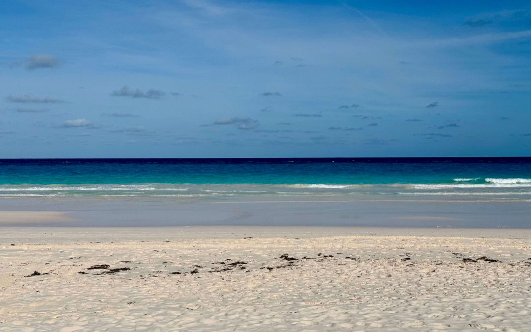 Harbour Island Travel Guide