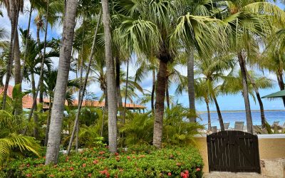 Harbour Village Bonaire Review