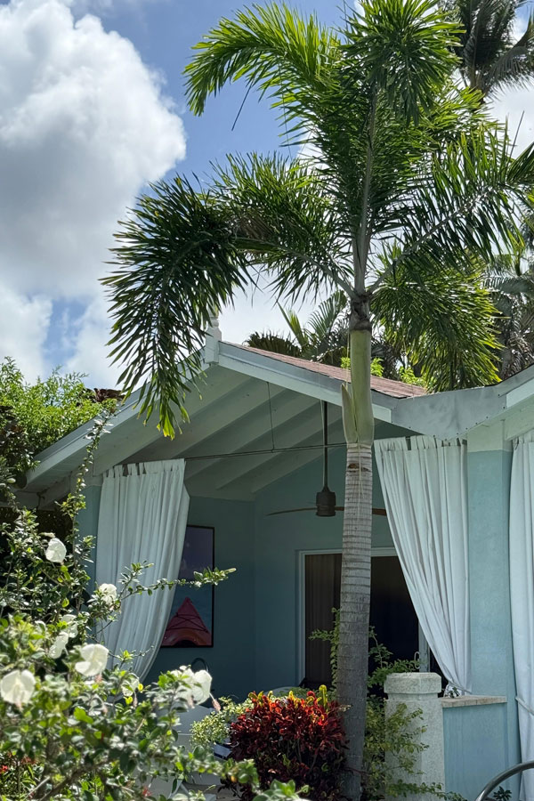 Swim Up Suites at Sandals Halcyon